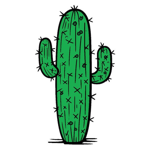 Cactus