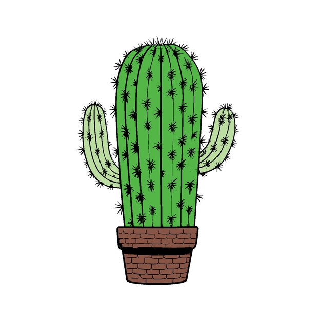 Cactus