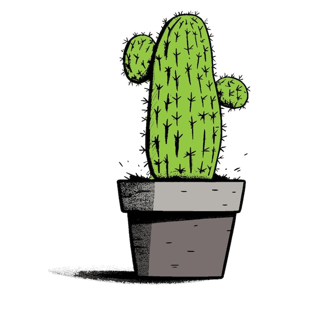 Cactus