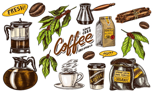 Café en estilo vintage Una bolsa de cacao en grano deja palitos de canela una taza y una tetera una cafetera y una bolsa de leche inscripción caligráfica Dibujo retro grabado dibujado a mano para etiquetas