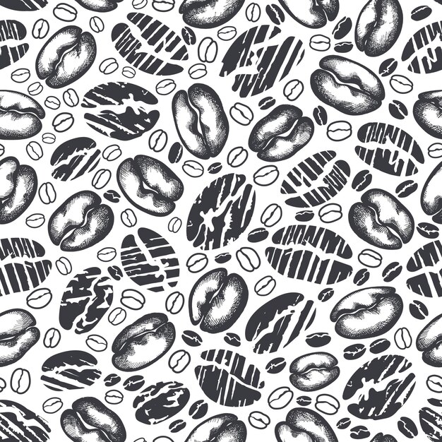 Café. Patrón transparente de vector. Silueta de frijol negro, forma de grano. Bebida aromática natural. Mano de arte dibujar bosquejo de textura sobre fondo blanco. Colección abstracta