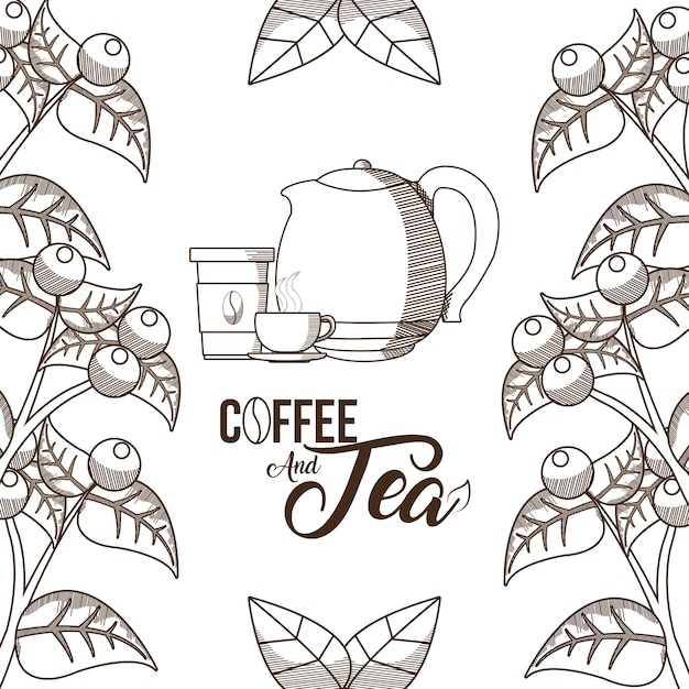 Café y té