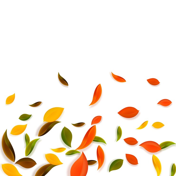 Vector caída de hojas de otoño. hojas caóticas rojas, amarillas, verdes, marrones volando. follaje colorido degradado sobre fondo blanco valioso. rebajas auténticas de regreso a clases.