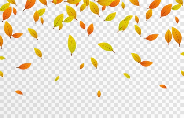 Caída de hojas de vector sobre un fondo transparente aislado Otoño las hojas caen del árbol