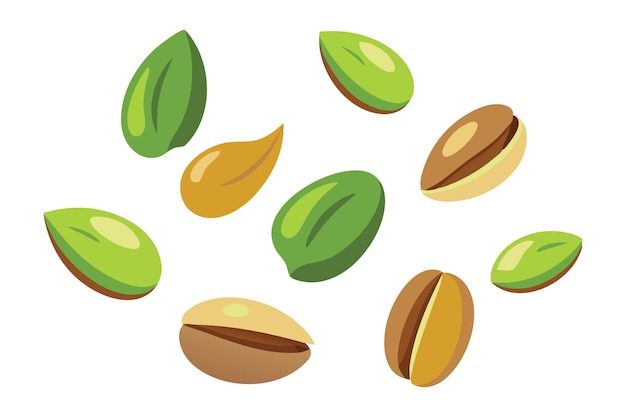 Caída de nueces de pistacho conjunto aislado ilustración vectorial plana fondo blanco