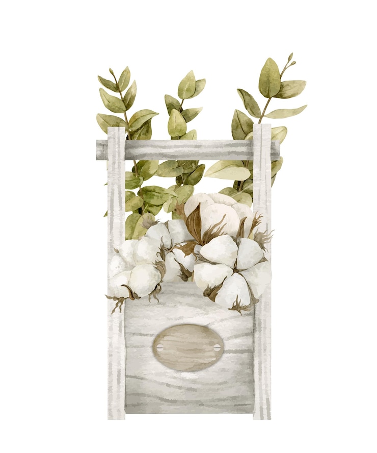 Vector caja de madera de acuarela con algodón y eucalipto ilustración dibujada a mano vintage de caja con flores para etiqueta de floristería o tarjetas de felicitación dibujo de ramo seco sobre fondo aislado