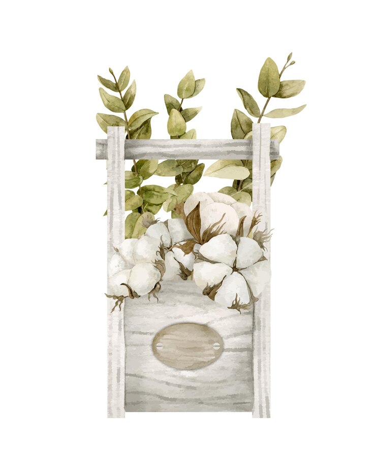 Vector caja de madera de acuarela con algodón y eucalipto ilustración dibujada a mano vintage de caja con flores para etiqueta de floristería o tarjetas de felicitación dibujo de ramo seco sobre fondo aislado