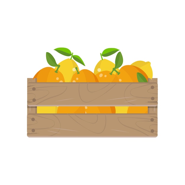 Vector caja de madera con fruta de limón y naranja