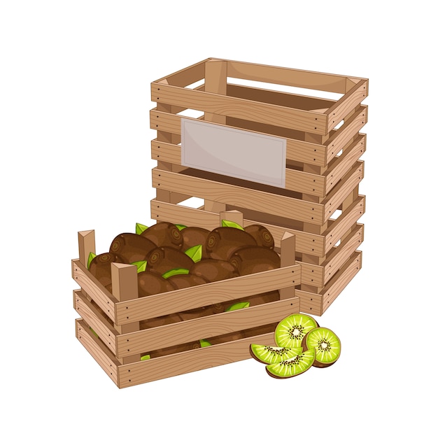 Vector caja de madera llena de kiwi