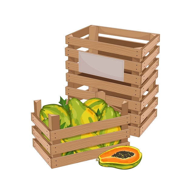 Vector caja de madera llena de papaya