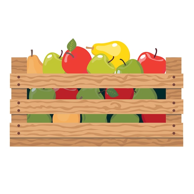 Vector caja de manzanas y peras