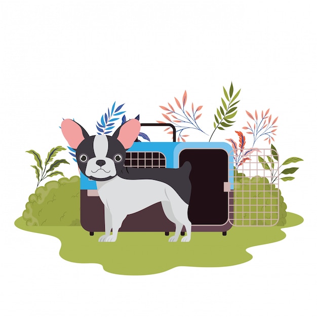 Vector caja de transporte para perros y mascotas con paisaje