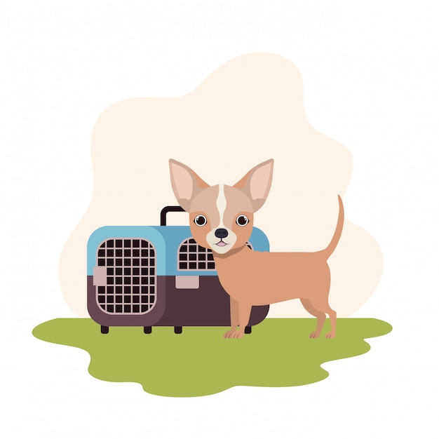 Caja de transporte para perros y mascotas con paisaje