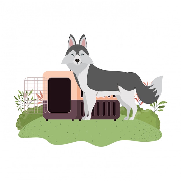 Caja de transporte para perros y mascotas con paisaje
