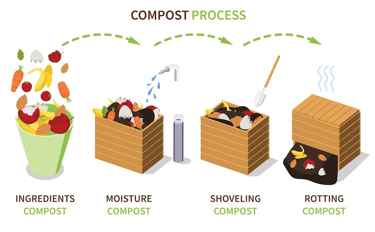 Vector cajas de compostaje infografía 3d con diagrama del proceso de compostaje con ingredientes paleado de humedad y rutinas de pudrición ilustración vectorial