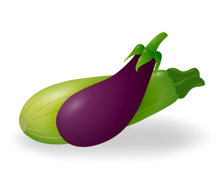 Vector calabacín fresco y berenjena. verduras aisladas sobre fondo blanco. día vegano. vegetariano organico