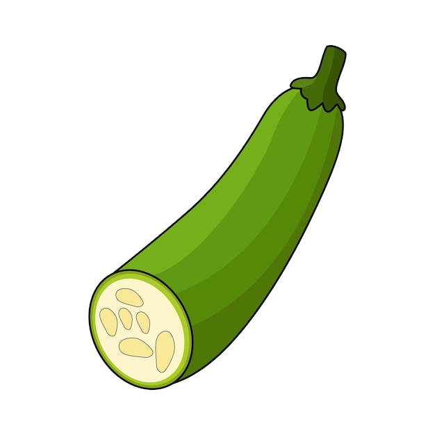 El calabacín