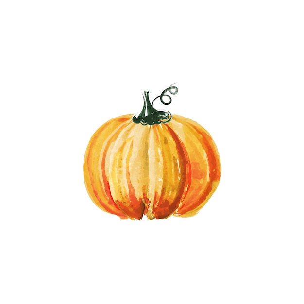 Calabaza acuarela