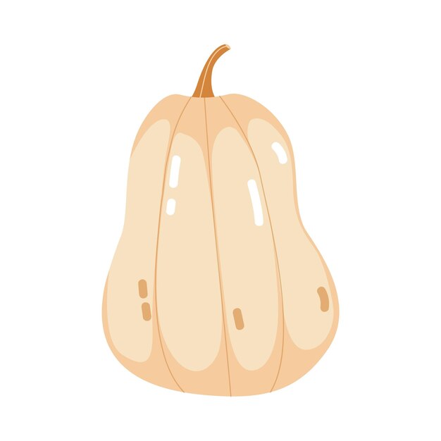 calabaza aislada en blanco