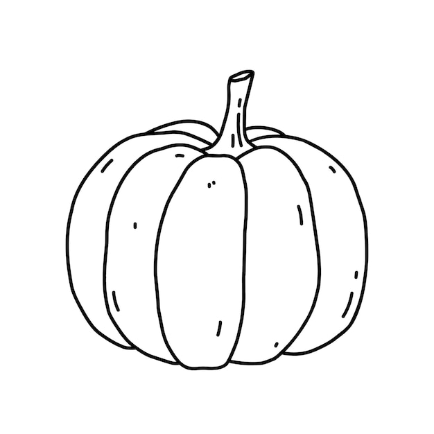 Calabaza aislada sobre fondo blanco Ilustración de garabato dibujado a mano de alimentos saludables orgánicos