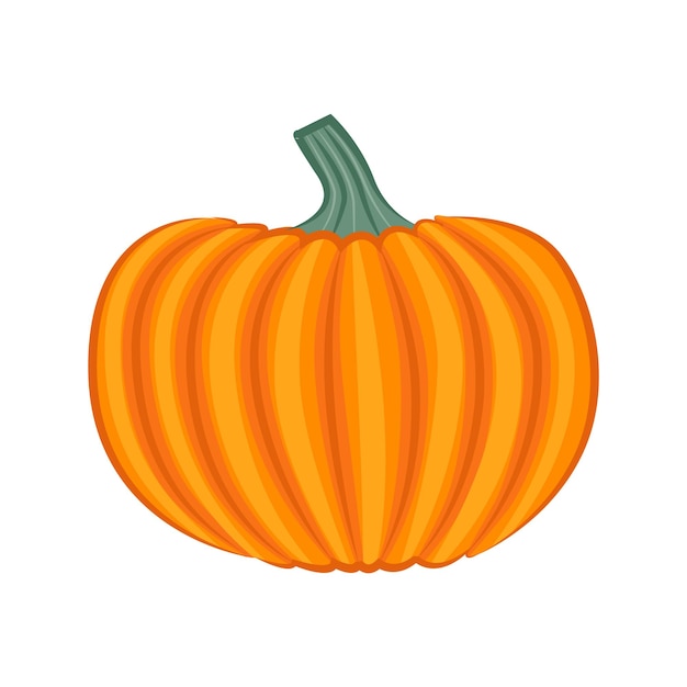 Calabaza aislada sobre fondo blanco
