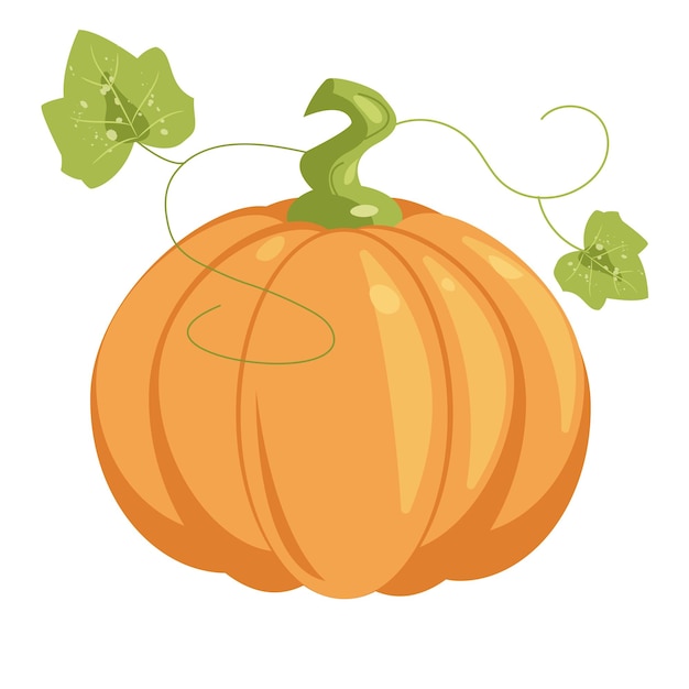 Calabaza aislada sobre fondo blanco