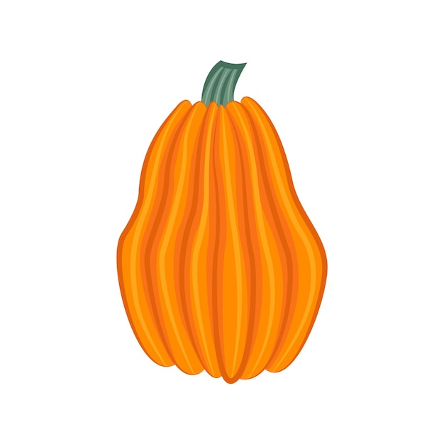 Calabaza aislado sobre fondo blanco. estilo de dibujos animados Decorativo para Halloween o acción de gracias.