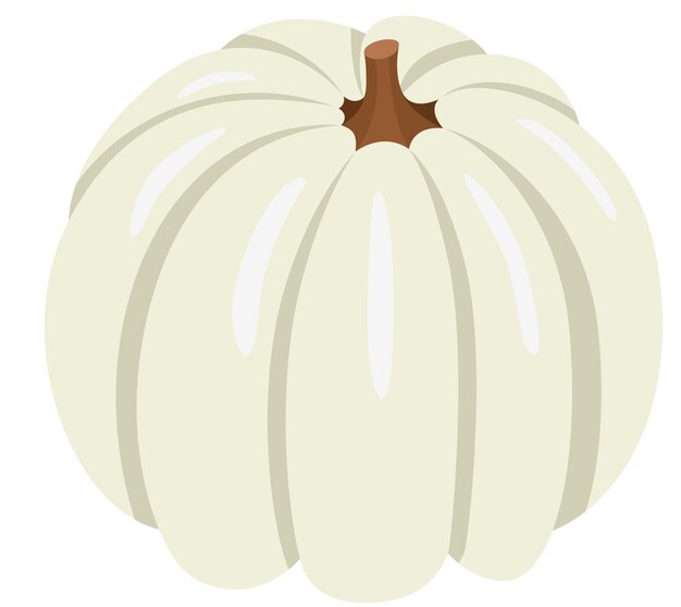 Calabaza blanca simple de otoño aislada