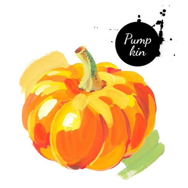 Calabaza Boceto dibujado a mano acuarela pintura acrílica sobre fondo blanco Ilustración vectorial