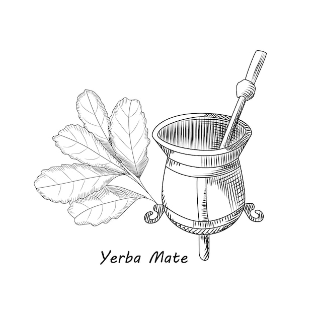 Vector calabaza y bombilla para bebida de yerba mate.