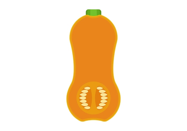 Vector calabaza calabaza gráficos vectoriales sobre un fondo blanco