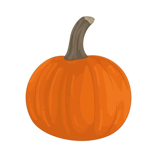 Calabaza y calabaza