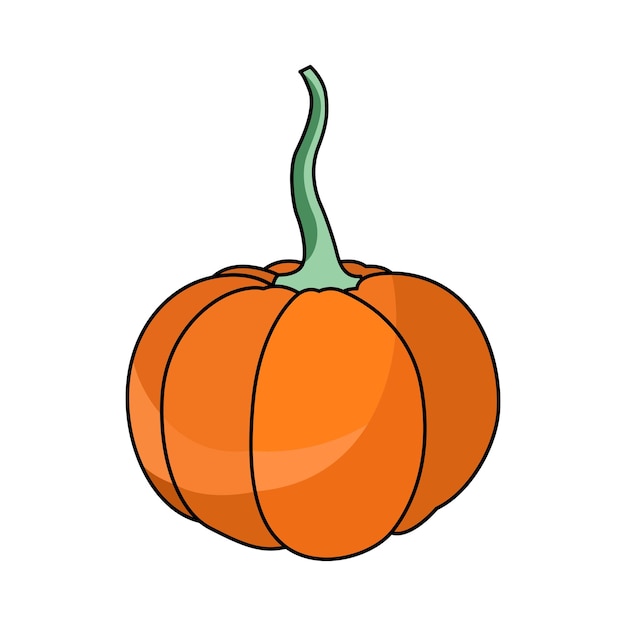 Calabaza y calabaza