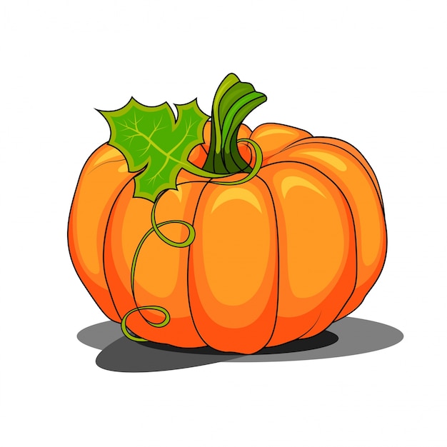 Vector calabaza con un catoon de hojas