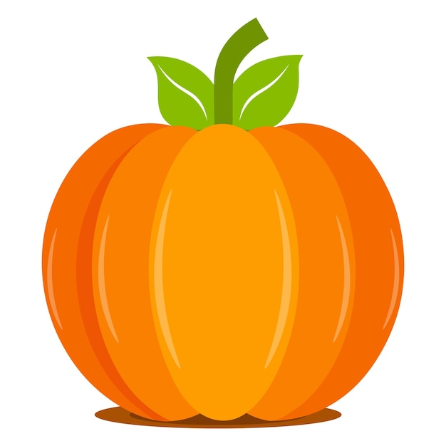 Una calabaza colorida con hojas verdes sobre un fondo blanco