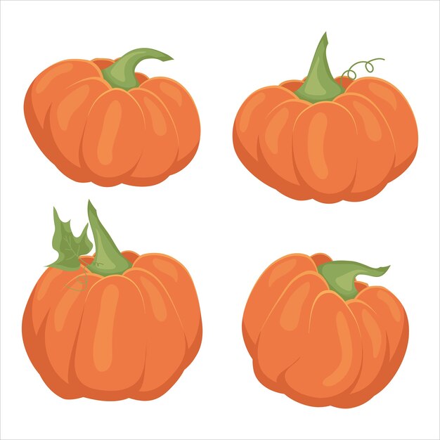 Calabaza Conjunto de ilustraciones de calabazas Símbolo de otoño Cosecha
