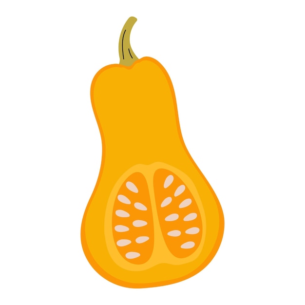 Calabaza cortada por la mitad que revela las semillas dentro de una ilustración colorida que representa productos saludables