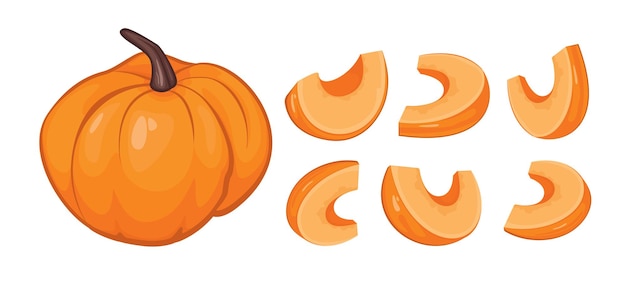 Calabaza, cuajada, trozos de calabaza, pipas de calabaza. fondo de otoño, vector, fondo blanco.