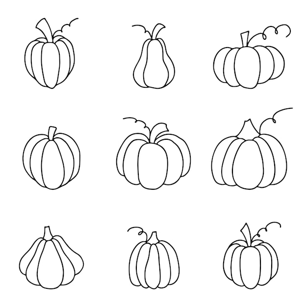 Calabaza delineada Conjunto de calabazas en estilo doodle Ilustración vectorial sobre fondo blanco