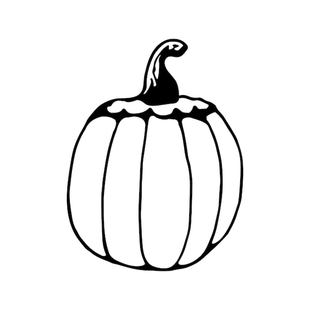 Calabaza dibujada a mano para tarjetas de felicitación, carteles, recetas, diseño culinario. Aislado sobre fondo blanco. Ilustración de vector de Doodle.