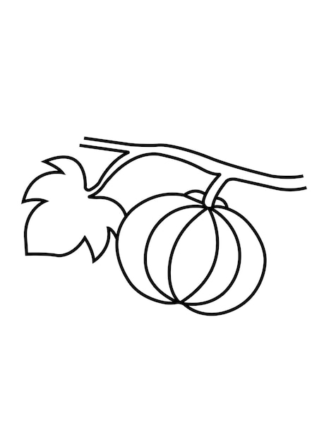La calabaza dulce Misti kumra es un alimento extremadamente denso en nutrientes
