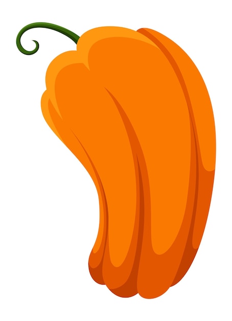 Calabaza. Elemento de otoño otoño naranja calabaza de dibujos animados aislado sobre fondo blanco