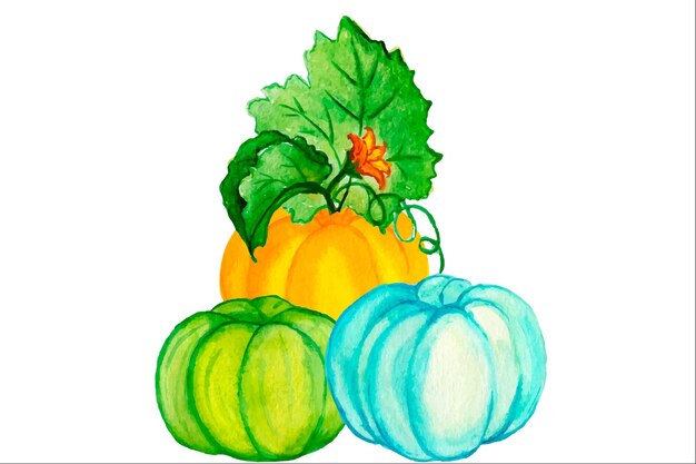 Calabaza con flores de girasol. Ilustración de acuarela en estilo boho.