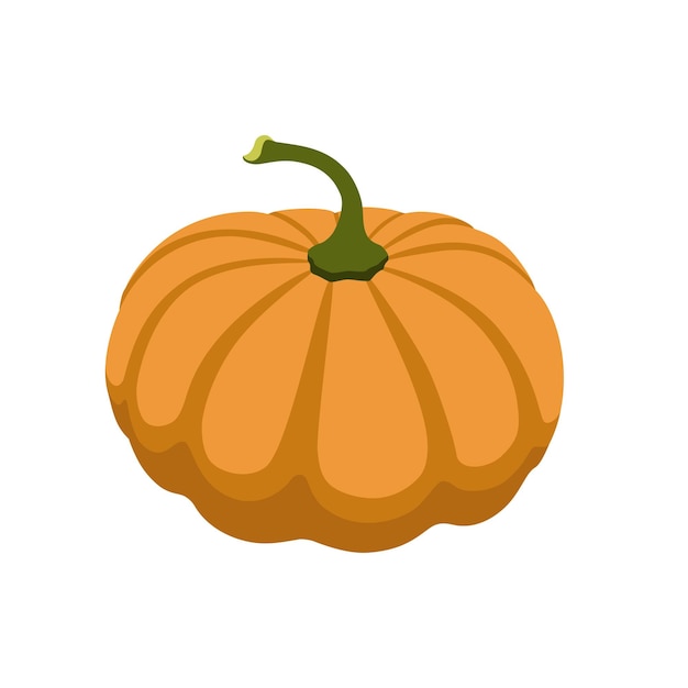 Una calabaza en un fondo blanco sin sombra