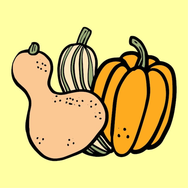 calabaza fresca delicata calabaza butternut orgánico dibujado a mano logo vector ilustración