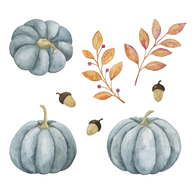 Calabaza gris azulada