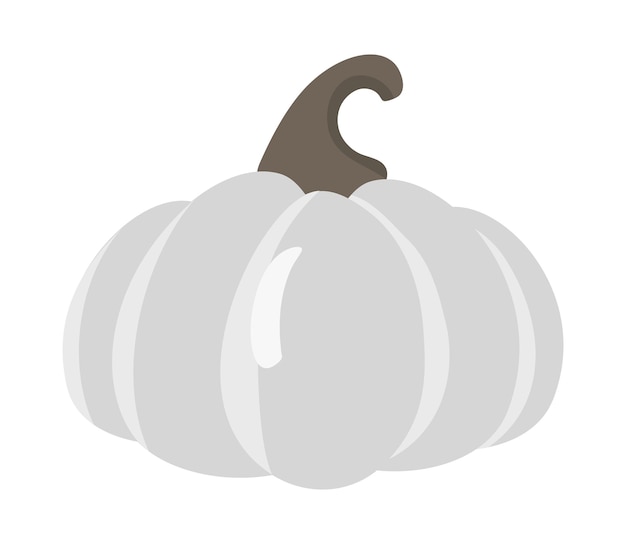 Calabaza gris madura aislada sobre fondo blanco Calabazas de cosecha de otoño Concepto de alimentos orgánicos saludables Ilustración de verduras vectoriales en estilo plano Día de Acción de Gracias