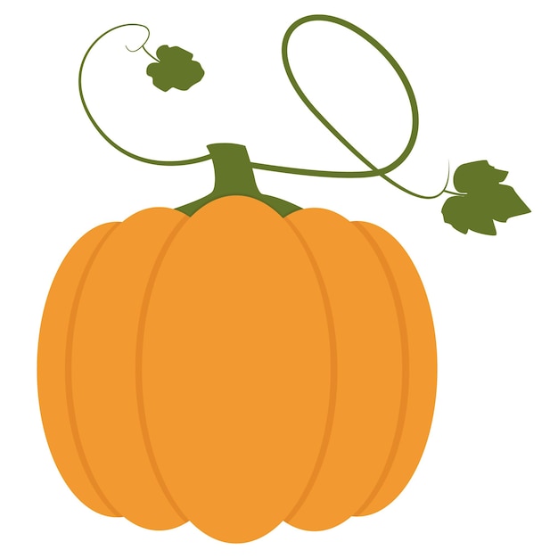 Calabaza con hojas aisladas sobre un fondo blanco Vegetales de otoño ricos en vitaminas Vector plano