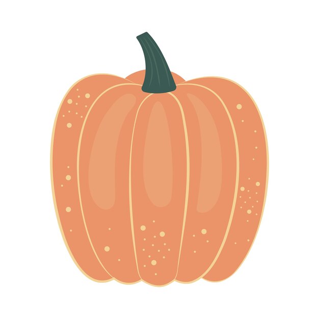 Calabaza y hojas Arreglo floral de otoño con calabaza colorida Estilo plano dibujado a mano Cosecha de temporada e Ilustración de Halloween