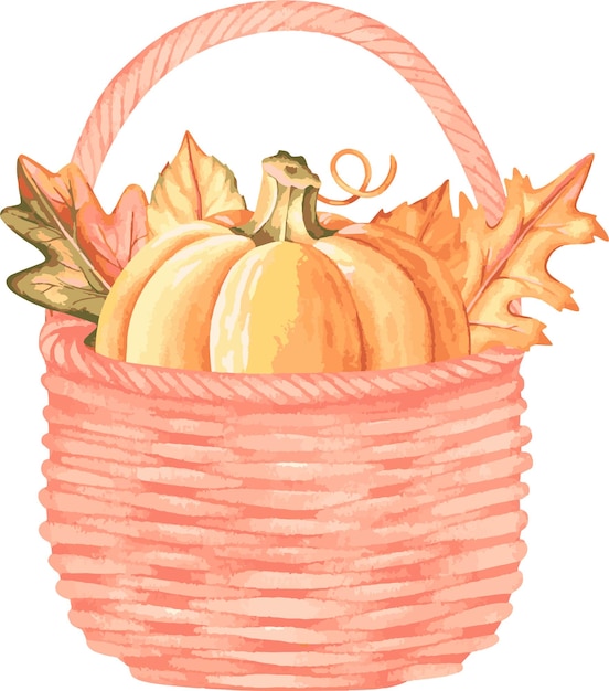 Calabaza y hojas en una cesta de mimbre Ilustración de vector de acuarela